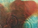 Pink Floyd- Meddle - Mobile Fidelity 1-190 Limited Edition Number 4422