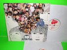 THE BEATLES : REVOLTING (Sapcor 35) Rare 2 LP Rarities Outtakes etc.