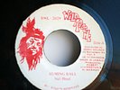 Buming Ball, Nut Head, Wild Apache 7