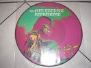 PICTURE DISC 33T-JIMI HENDRIX-EXPERIENCE -M-RARE