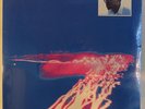 Wally Badarou: Echoes Island Visual Arts 90495-1 Electro/Future Jazz LP SEALED