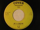 B.B. (Cunnningham) 45 rocker TRIP TO BANDSTAND / ELECTRODE inst.   VG+