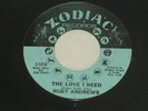 Ruby Andrews Love I Need / Just Loving You Northern Soul 45 7