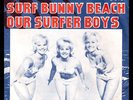 **Surf Bunnies - Surf Bunny Beach - Danish PS/45 Rare US Surf gem Hear