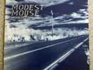 Modest Mouse 'This is a Long Drive' LP - Up Records 1996 - 2xLP - Rare