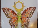 THE AWAKENING * BRAND NEW FEELING    * STEREO QUADRAPHONIC LP * OVATION