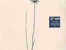 THE JAYHAWKS Rainy Day Music 180 gram 2LP