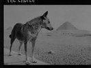 LP:The Church,Priest=Aura(RARE)[NM] (Arista)