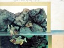 ROCK WORKSHOP THE VERY LAST TIME PROG/JAZZ-FUNK ORIG GFLD VINYL LP ON CBS 1971