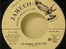 Edward Hamilton and the Fifes Promo 45 I'm Gonna Love You-Jameco