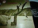 TONTON MACOUTE..(tonton macoute)  PROG LP UK 1ST ISSUE  RCA NEON LABEL