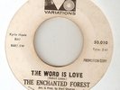THE ENCHANTED FOREST - THE WORD IS LOVE / IM NOT THAT KIND PROMO FUNK SOUL 45