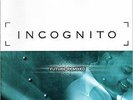 Incognito ?– Future Remixed 4x12