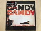 THE JESUS AND MARY CHAIN PSYCHO CANDY LP VINYL RSD 2013 RECORD STORE DAY 1/1000