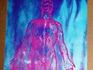 NIRVANA Sliver-Dive 7