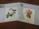 BACH SIX CELLO SUITES JEAN-MAX CLÉMENT RECORD 1&2 ON L´OISEAU-LYRE