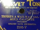 DEPRESSION HOT Cali Ramblers VT2183 Wah Wah Gal Agua Caliente solos E-