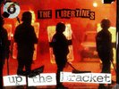 The Libertines Up The Bracket Vinyl LP Record