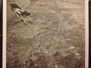 Nicolas Jaar SPACE IS ONLY NOISE Vinyl LP NM/VG 1st Pressing L K