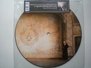 Vinyl Picture Single Agnetha Fältskog ( ABBA ) 2013       ( Universal Music )