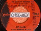 RARE 45 LATIN PSYCH ORGAN GOGO ?LOS GATOS DE COSTA RICA? INDICA ???