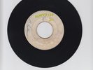 BLANK/LET ME REMIND YOU  -  TECHNIQUES   ( 69 SKINHEAD  REGGAE 7