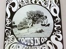THE PAPERHEAD - FOCUS IN ON THE LOOKING GLASS LP mikal cronin ty segall woods