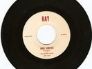 RARE SURF INSTRUMENTAL ROCKER- STING RAYS OF SPRINGFIELD, ILLINOIS- 