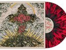 Trapped Under Ice Big kiss goodnight 1st Press splatter LP expire turnstile