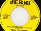 Tony Troutman - What's The Use