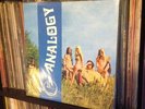 LP ITALIAN PROG ANALOGY + POSTER FOOT AMS LP 24 PROGRESSIVE ITALIA ITALY