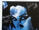 PaulineMurray/Penetration-Storm Clouds LP. 1989 Signed In Silver Pen