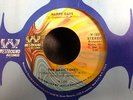 The MAGICTONES 45 HAPPY DAYS / I've Changed on Westbound VG++ HEAR
