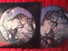 Bauhaus Burning from the Inside Ltd Picture Disc LP Sisters of mercy Goth