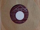 KIDS FROM TEXAS. the. LONG LEGGED LINDA. AN ORIGINAL CND COPY  VG++ 45.  LISTEN.