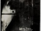 ANTON BRUHIN VON GOLDABFISCHER - RARE SWISS PSYCH FOLK