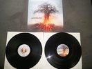 Amorphis - Skyforger