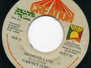 GADFREY LEWIS   PROMISED LAND   ONE AWAY ROOTS LISTEN