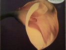 Swans - The Burning World Uni Records 1989 Vinyl LP Michael Gira Sonic Youth