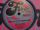 WAKE UP TO THE SUNSHINE GIRL BY JOEY DELORENZO MINT COND