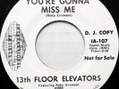 THIRTEENTH FLOOR ELEVATORS You're Gonna Miss Me ROKY ERICKSON Promo VG++ #BB175