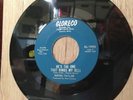 Sherri Taylor r&b northern soul 45 He's The One That Rings My Bell on Gloreco NM