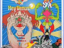 SUPER FURRY ANIMALS - Hey Venus - RARE 2007 UK Vinyl LP