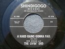 60s GARAGE--RON ROMAN & THE LIVIN' END--A HARD RAINS GONNA FALL--SHINDIGOGO 777