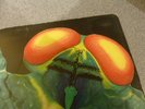 Catapilla LP Changes UK Vertigo swirl 1st press SUPERB VINYL Mint Head Not