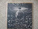 Neil Young/Pearl Jam Mirror Ball LP