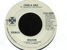 Pop 45 (Early Laura Branigan) MEADOW Cane & Abel/Something Borrowed Paramount