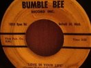 The Tornados, Love In Your Life,           Northern Soul/Doo-Wop