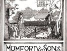 Mumford & and Sons - Love Your Ground EP - Ltd Edition 10