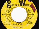 NORTHERN SOUL 45 RPM - THE PARLIAMENTS on GOLDEN WORLD RECORDS